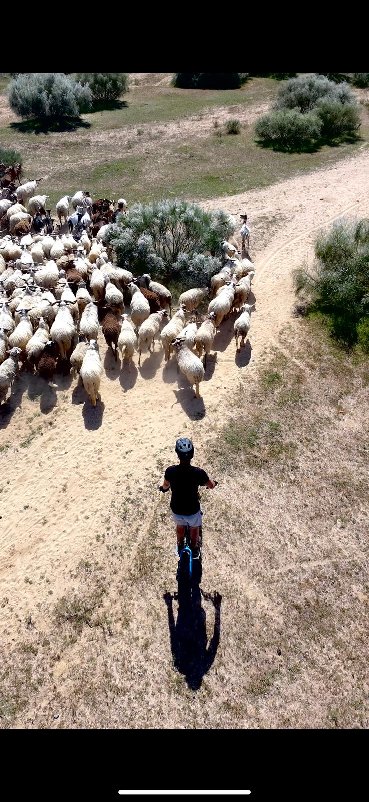 Tour Aventura Salgados - Alcantarilha